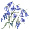 21 High-Quality Bluebells Clipart - Bluebells flowers digital watercolor JPG instant download for commercial use - Digital download