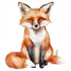 20 High-Quality Cute Foxes Clipart - Cute fox sitting digital watercolor JPG instant download for commercial use - Digital download