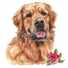 20 High-Quality Golden Retriever Clipart - Golden retriever digital watercolor JPG instant download for commercial use - Digital download