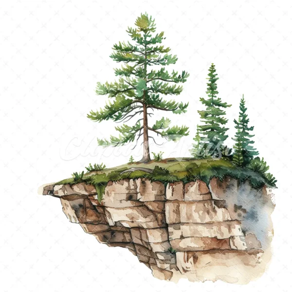 20 High-Quality Pine Trees on Cliff Clipart - Pine trees on cliff watercolor JPG instant download for commercial use - Digital download