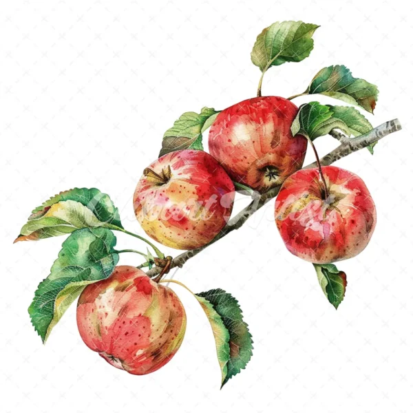 20 High-Quality Apple Branch Clipart - Apple branch watercolor JPG instant download for commercial use - Digital download