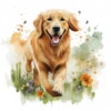 20 High-Quality Golden Retriever Clipart - Golden retriever digital watercolor JPG instant download for commercial use - Digital download
