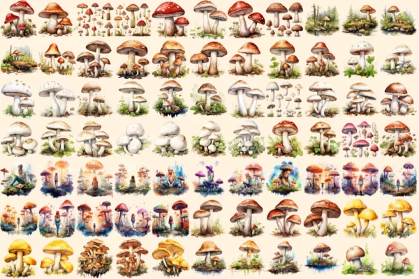 Mushrooms Watercolor Clipart Bundle - 520+ transparent PNG, Mushrooms png, Enchanted nature illustrations, Commercial use,Digital download