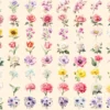Wedding Flowers Watercolor Clipart Bundle - 545+ transparent PNG, Floral wedding elements, Bride's bouquet, Commercial use, Digital download