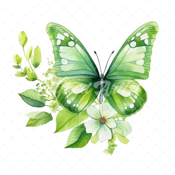 20 High-Quality Green Floral Butterfly Clipart - Butterfly digital watercolor JPG instant download for commercial use - Digital download