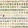 Spring Woodland Watercolor Clipart Bundle - 1185+ transparent PNG, Spring forest graphics, Warm nature png, Commercial use, Digital download