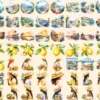 Mediterranean Watercolor Clipart Bundle - 460+ transparent PNG, Bright beach graphics, Olives clipart png, Commercial use, Digital download
