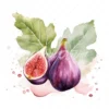 23 High-Quality Fig Clipart - Fig digital watercolor JPG instant download for commercial use - Digital download