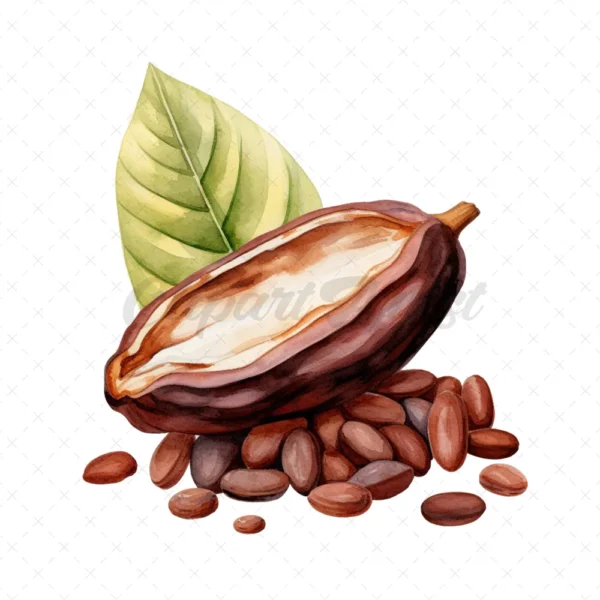 20 High-Quality Sacred Cacao Clipart - Sacred cacao digital watercolor JPG instant download for commercial use - Digital download