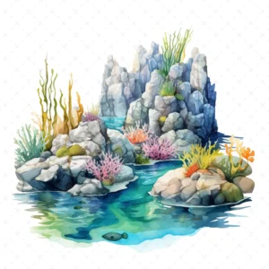 19 High-Quality Tidepool Clipart - Tidepool digital watercolor JPG instant download for commercial use - Digital download