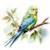 20 High-Quality Parakeet Clipart - Parakeet digital watercolor JPG instant download for commercial use - Digital download