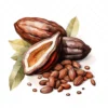 20 High-Quality Sacred Cacao Clipart - Sacred cacao digital watercolor JPG instant download for commercial use - Digital download