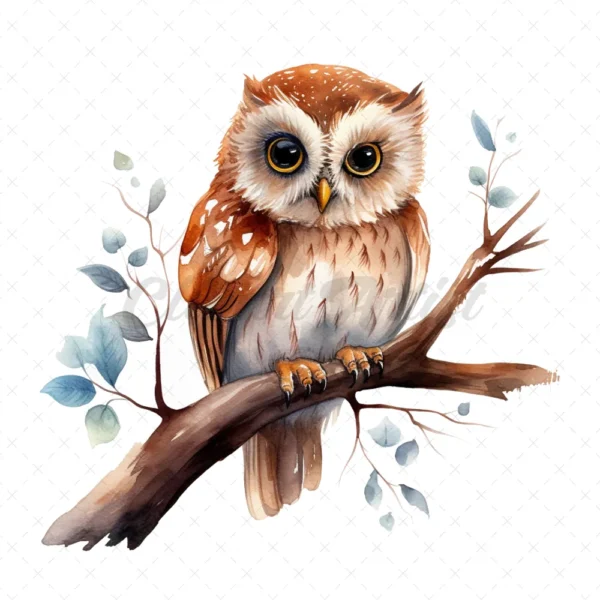 14 High-Quality Cute Owls Clipart - Owls digital watercolor JPG instant download for commercial use - Digital download