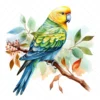 20 High-Quality Parakeet Clipart - Parakeet digital watercolor JPG instant download for commercial use - Digital download