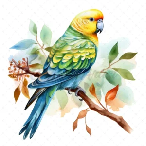 20 High-Quality Parakeet Clipart - Parakeet digital watercolor JPG instant download for commercial use - Digital download