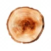 20 High-Quality Wooden Slices Clipart - Wooden slices digital JPG instant download for commercial use - Digital download