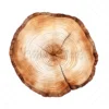 20 High-Quality Wooden Slices Clipart - Wooden slices digital JPG instant download for commercial use - Digital download