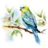 20 High-Quality Parakeet Clipart - Parakeet digital watercolor JPG instant download for commercial use - Digital download
