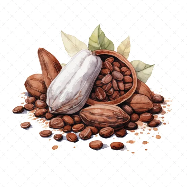 20 High-Quality Sacred Cacao Clipart - Sacred cacao digital watercolor JPG instant download for commercial use - Digital download