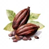 20 High-Quality Sacred Cacao Clipart - Sacred cacao digital watercolor JPG instant download for commercial use - Digital download