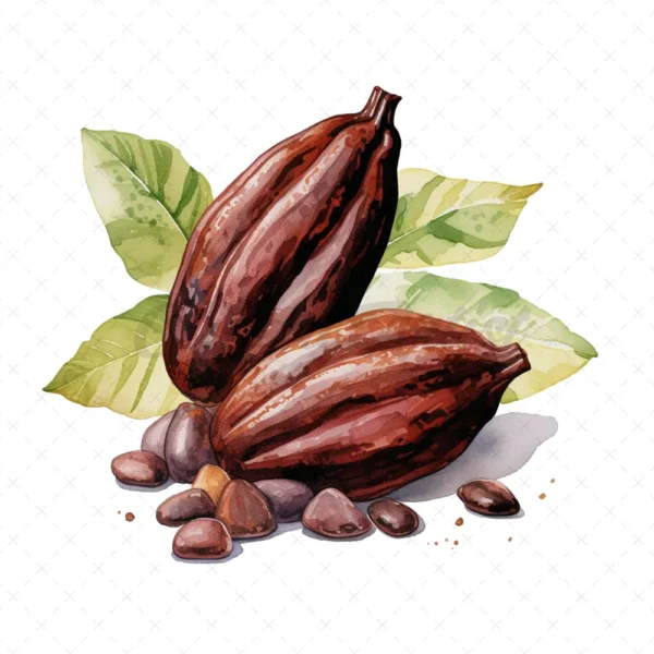 20 High-Quality Sacred Cacao Clipart - Sacred cacao digital watercolor JPG instant download for commercial use - Digital download