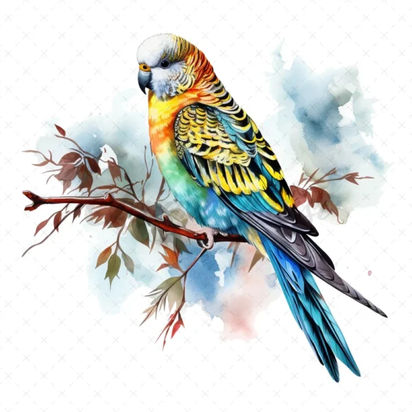 20 High-Quality Parakeet Clipart - Parakeet digital watercolor JPG instant download for commercial use - Digital download