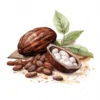 20 High-Quality Sacred Cacao Clipart - Sacred cacao digital watercolor JPG instant download for commercial use - Digital download