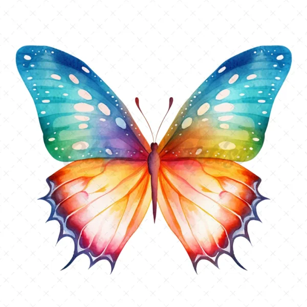 25 High-Quality Colorful Butterfly Clipart - Butterfly digital watercolor JPG instant download for commercial use - Digital download
