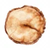 20 High-Quality Wooden Slices Clipart - Wooden slices digital JPG instant download for commercial use - Digital download