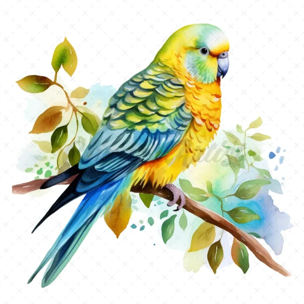 20 High-Quality Parakeet Clipart - Parakeet digital watercolor JPG instant download for commercial use - Digital download