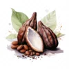 20 High-Quality Sacred Cacao Clipart - Sacred cacao digital watercolor JPG instant download for commercial use - Digital download