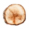 20 High-Quality Wooden Slices Clipart - Wooden slices digital JPG instant download for commercial use - Digital download