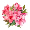 20 High-Quality Hot Pink Azalea Bouquet Clipart - Hot Azalea digital watercolor JPG instant download for commercial use - Digital download