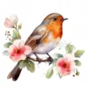 15 High-Quality Robin Clipart - Birds digital watercolor JPG instant download for commercial use - Digital download