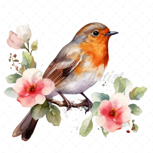 15 High-Quality Robin Clipart - Birds digital watercolor JPG instant download for commercial use - Digital download