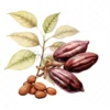 20 High-Quality Sacred Cacao Clipart - Sacred cacao digital watercolor JPG instant download for commercial use - Digital download