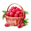 20 High-Quality Raspberries Clipart - Raspberries digital watercolor JPG instant download for commercial use - Digital download