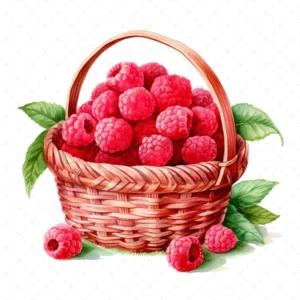 20 High-Quality Raspberries Clipart - Raspberries digital watercolor JPG instant download for commercial use - Digital download