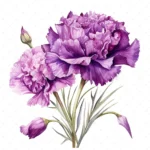 21 High-Quality Botanique Purple Carnation Clipart - Flowers digital watercolor JPG instant download for commercial use - Digital download