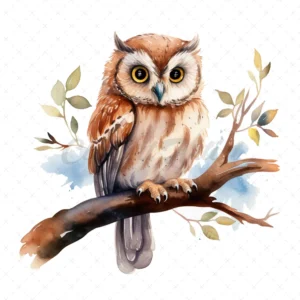 14 High-Quality Cute Owls Clipart - Owls digital watercolor JPG instant download for commercial use - Digital download
