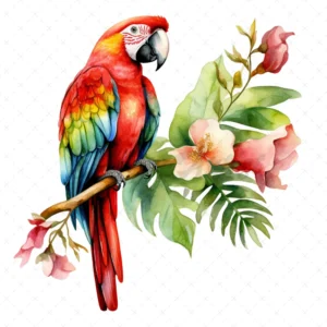 18 High-Quality Parrots Clipart - Parrots digital watercolor JPG instant download for commercial use - Digital download