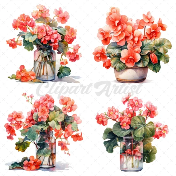 20 High-Quality Begonias Clipart - Pink red begonias digital watercolor wreath JPG instant download for commercial use - Digital download