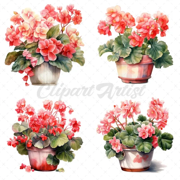 20 High-Quality Begonias Clipart - Pink red begonias digital watercolor wreath JPG instant download for commercial use - Digital download