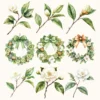 Winter Kiwi Floral Arrangements, Camellia, Winter flower png, Camellia bouquet, Winter decor, Winter png, Commercial use, Digital download