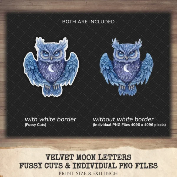 Velvet Moon Letters Clipart Set – Celestial Mystical Illustrations, Floral Moon Graphics, Ethereal Women, Moonlight PNG, Digital download