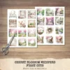 Cherry Blossom Whispers Clipart Set – Japanese Sakura Illustrations, Springtime Graphics, Pink Floral, Floral Women, Digital download