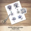 Velvet Moon Letters Floral Arrangements, Anemone Floral PNG, Anemone Bouquet, Magical Flowers, Ornaments, Flower Art, Digital download