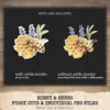 Honey and Herbs Clipart Set – Lavender Herb Illustrations, Honey Pot Graphics, Rustic Recipe, Rosemary PNG Clipart, Digital download