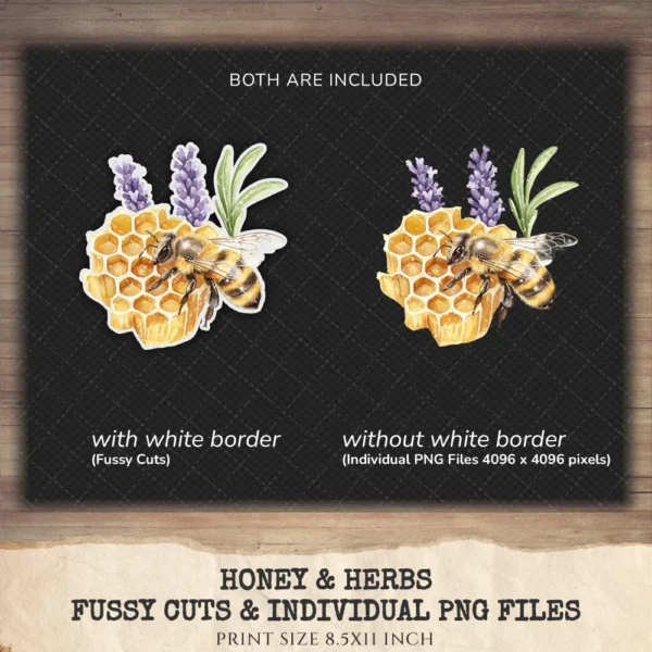 Honey and Herbs Clipart Set – Lavender Herb Illustrations, Honey Pot Graphics, Rustic Recipe, Rosemary PNG Clipart, Digital download