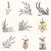Honey and Herbs Floral Arrangements, Lavender Floral PNG, Lavender Bouquet, Herbal Floral Art, Floral Decor, Ornaments, Digital download
